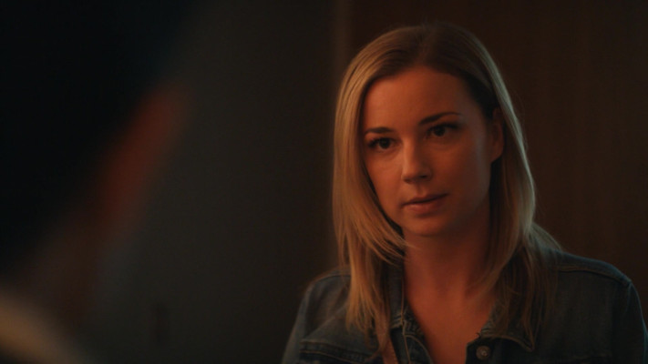 Emily van Camp pic #1230631