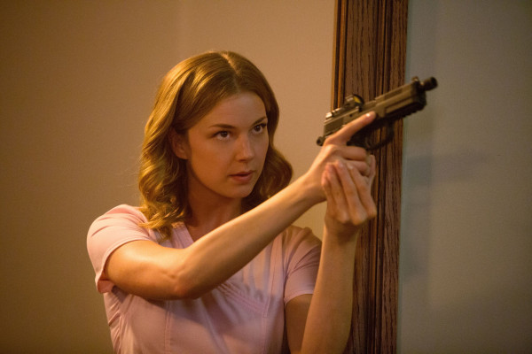 Emily van Camp pic #1243984