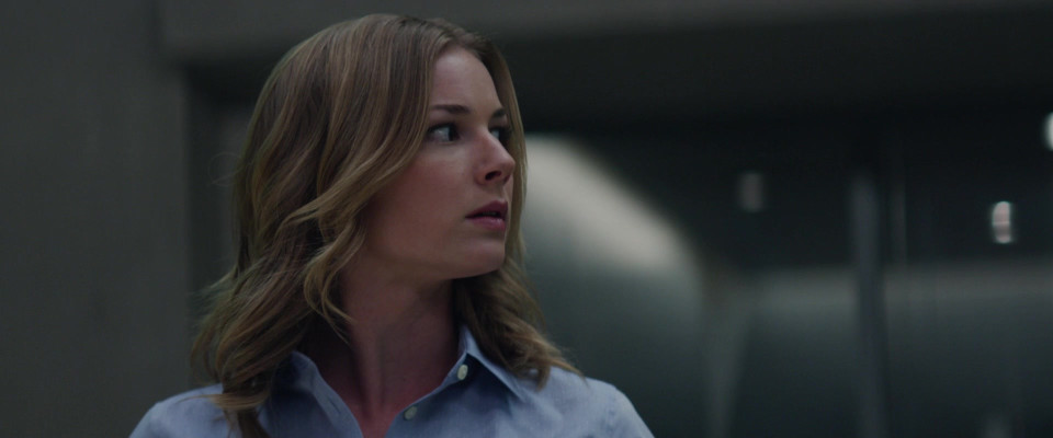 Emily van Camp pic #1243987