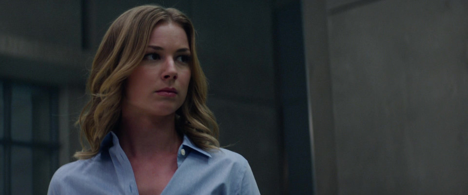 Emily van Camp pic #1243986