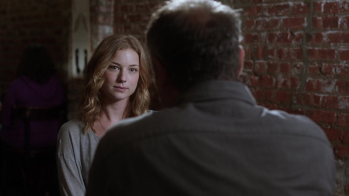 Emily van Camp pic #1260437