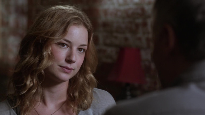 Emily van Camp pic #1260468