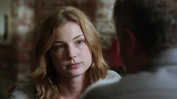 Emily van Camp pic #1260467