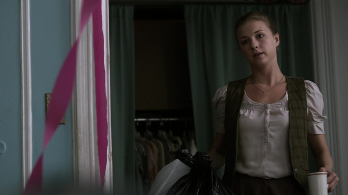 Emily van Camp pic #1260411