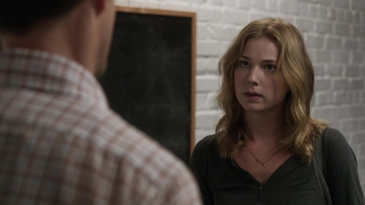 Emily van Camp pic #1260475