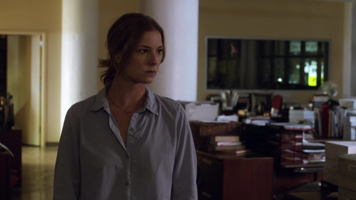 Emily van Camp pic #1260442