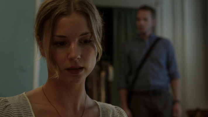 Emily van Camp pic #1260441