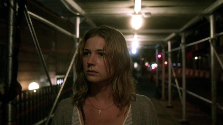 Emily van Camp pic #1260456
