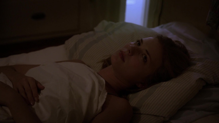 Emily van Camp pic #1260453