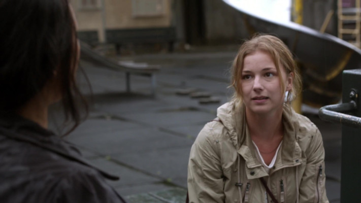 Emily van Camp pic #1260451