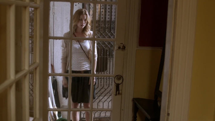 Emily van Camp pic #1260414