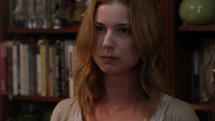 Emily van Camp pic #1260427