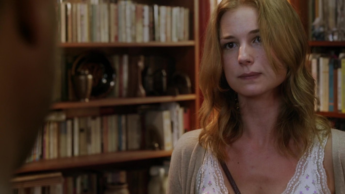 Emily van Camp pic #1260428