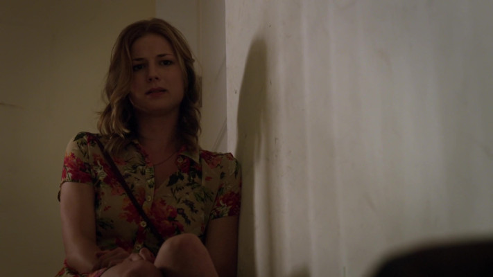 Emily van Camp pic #1260431