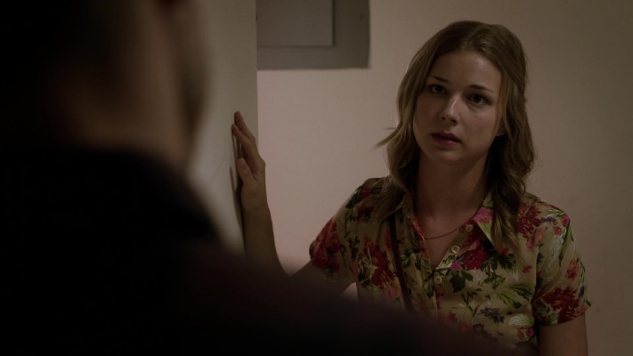 Emily van Camp pic #1260432