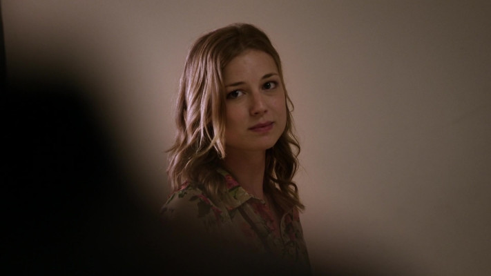 Emily van Camp pic #1260434