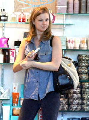 Emily van Camp pic #1270817