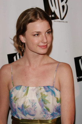 Emily van Camp pic #1244359