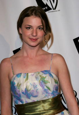 Emily van Camp pic #1244361