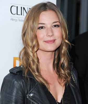 Emily van Camp pic #1259565