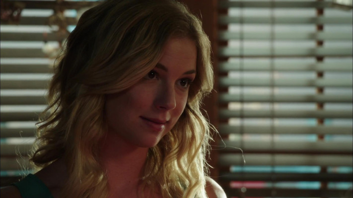 Emily van Camp pic #1227371