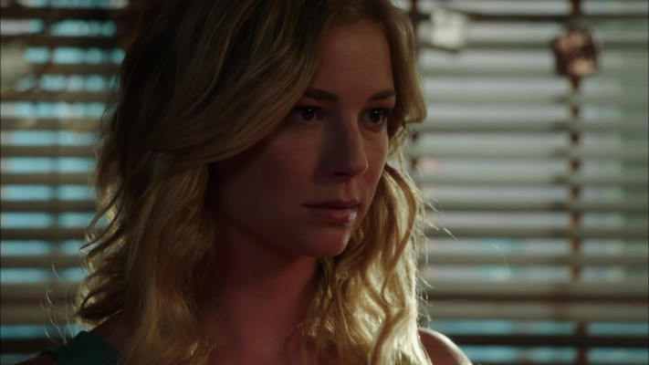Emily van Camp pic #1227366