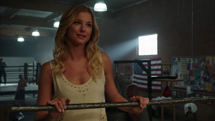 Emily van Camp pic #1227384