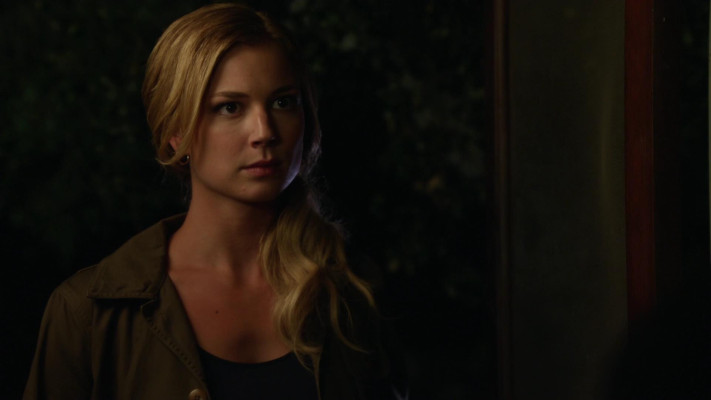 Emily van Camp pic #1227390