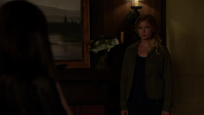 Emily van Camp pic #1227391