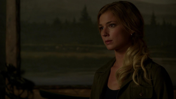 Emily van Camp pic #1227394