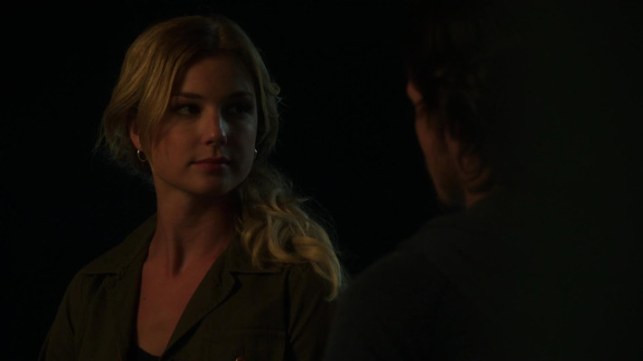 Emily van Camp pic #1227396