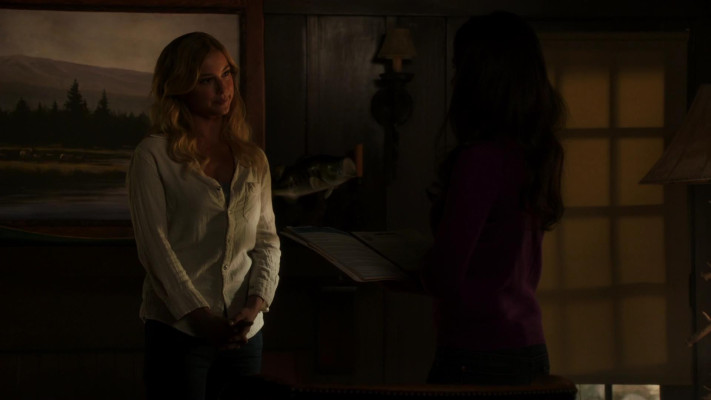Emily van Camp pic #1227398