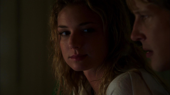 Emily van Camp pic #1227402