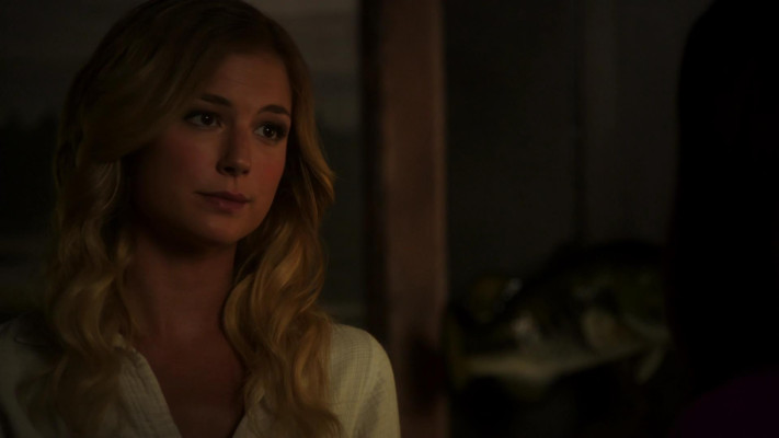 Emily van Camp pic #1227403
