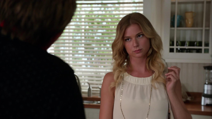 Emily van Camp pic #1220294