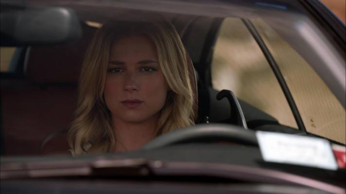 Emily van Camp pic #1220298