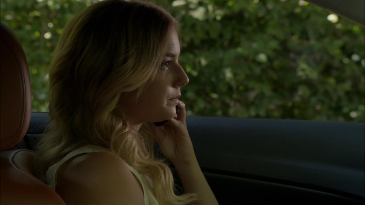 Emily van Camp pic #1220299