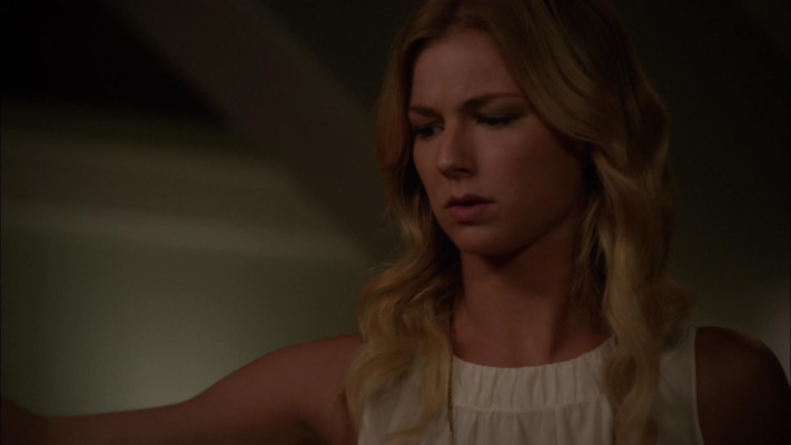 Emily van Camp pic #1220300