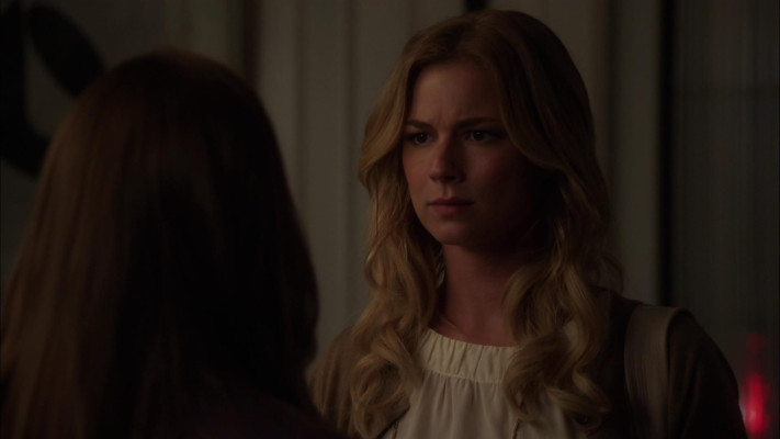 Emily van Camp pic #1220303