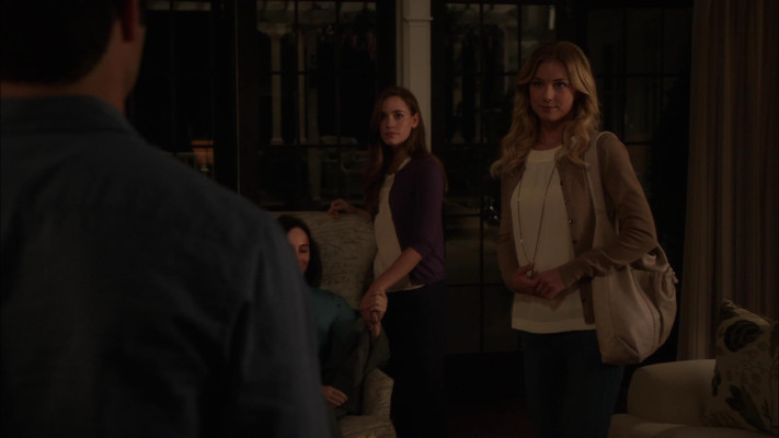 Emily van Camp pic #1220304