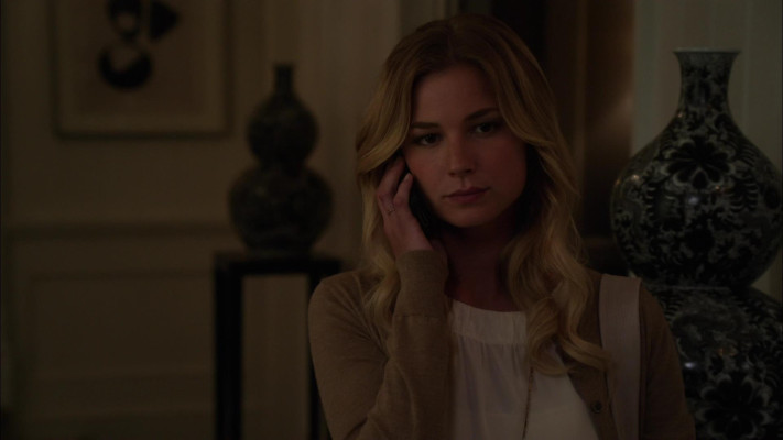 Emily van Camp pic #1220306