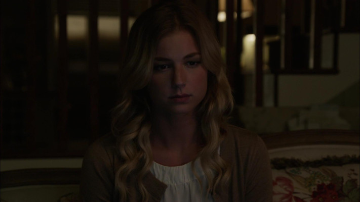Emily van Camp pic #1220309