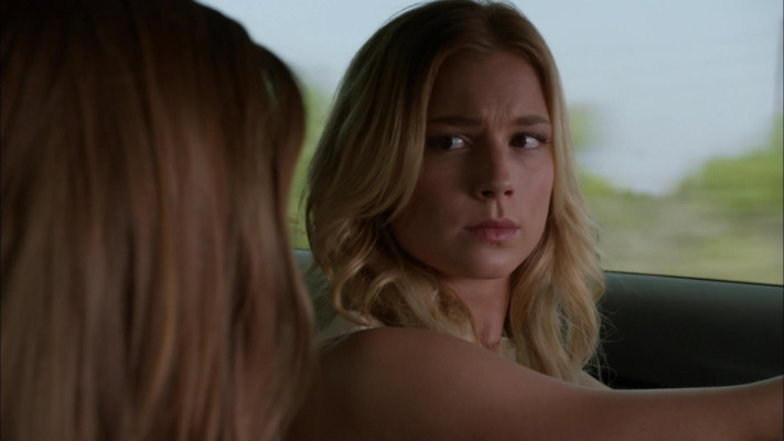 Emily van Camp pic #1220286