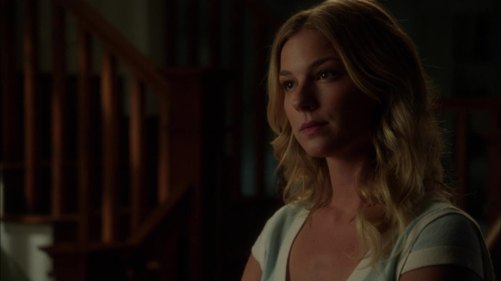 Emily van Camp pic #1238379