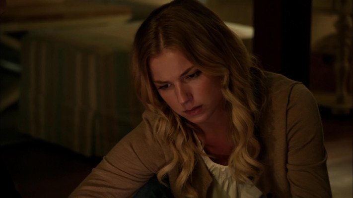 Emily van Camp pic #1238396