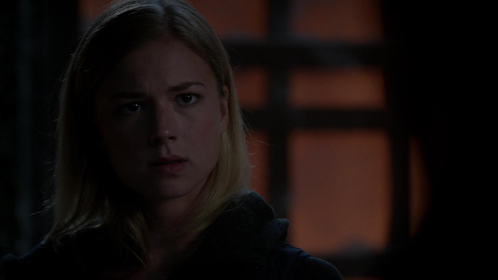 Emily van Camp pic #1238400