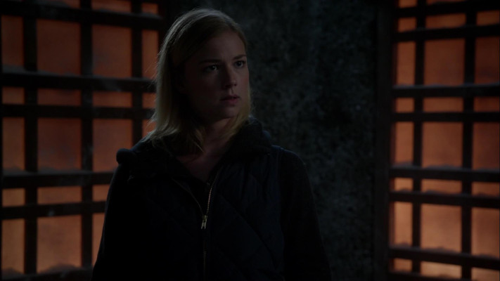 Emily van Camp pic #1238402