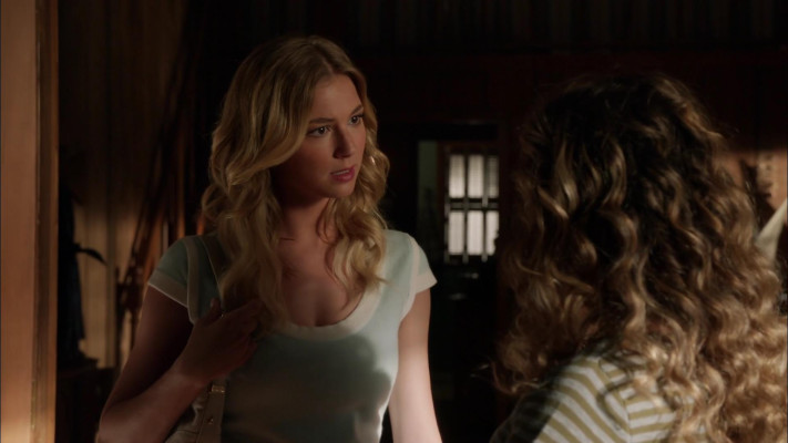 Emily van Camp pic #1238403