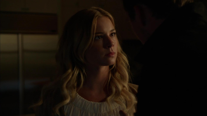 Emily van Camp pic #1238390