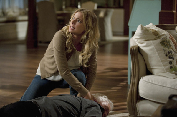 Emily van Camp pic #1238420